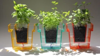 水やりのタイミングがひと目でわかる！透明プランター「Self Planter」