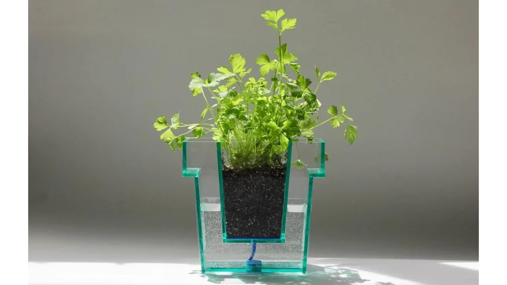 水やりのタイミングがひと目でわかる！透明プランター「Self Planter」
