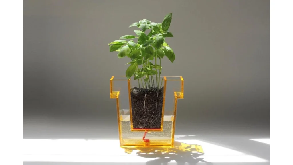 水やりのタイミングがひと目でわかる！透明プランター「Self Planter」