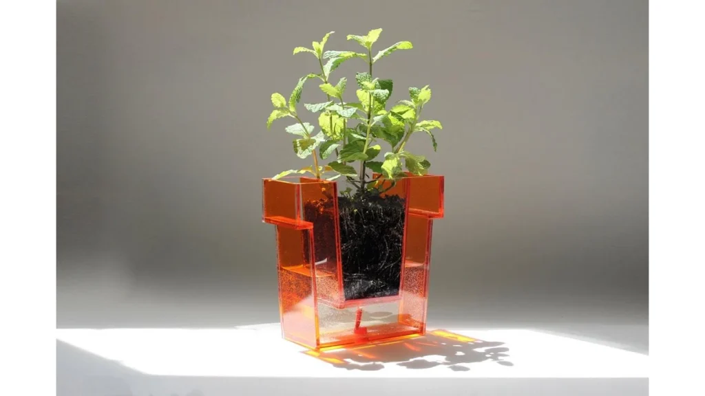 水やりのタイミングがひと目でわかる！透明プランター「Self Planter」