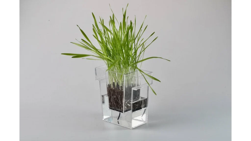 水やりのタイミングがひと目でわかる！透明プランター「Self Planter」
