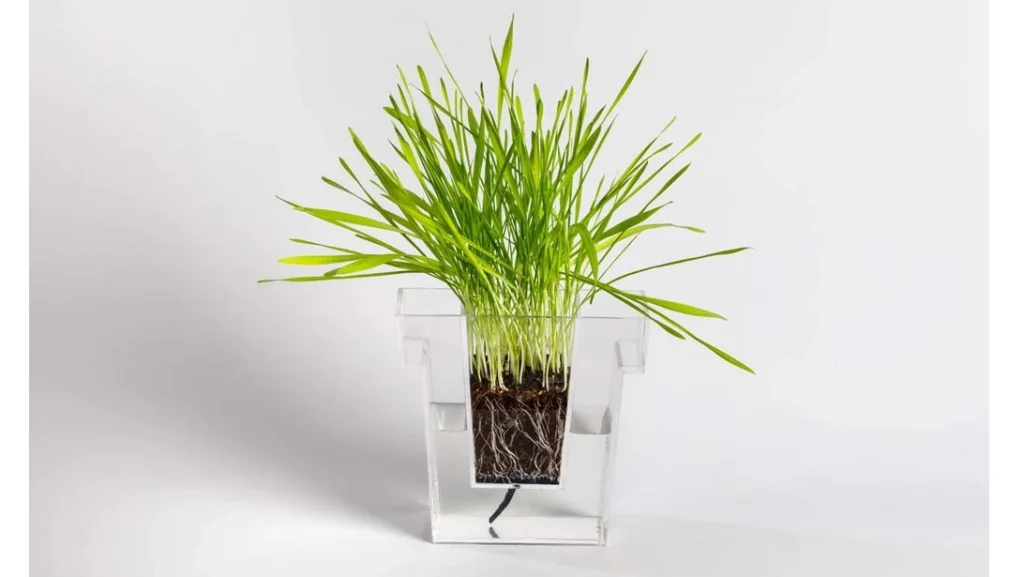 水やりのタイミングがひと目でわかる！透明プランター「Self Planter」