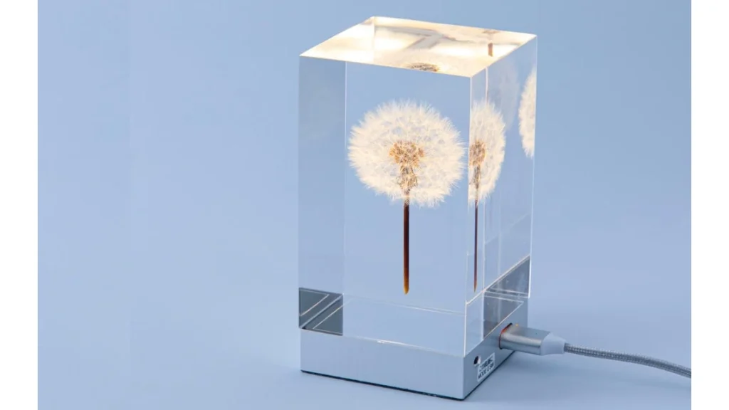 本物のタンポポを閉じ込めた照明「TAMPOPO Light」｜幻想的なテーブルライト