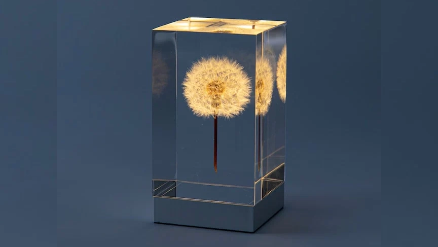 本物のタンポポを閉じ込めた照明「TAMPOPO Light」｜幻想的なテーブルライト