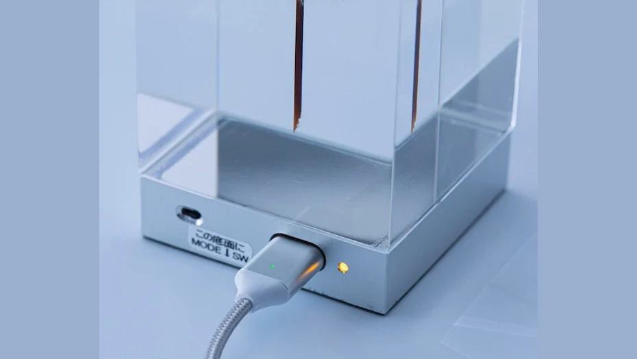 本物のタンポポを閉じ込めた照明「TAMPOPO Light」｜幻想的なテーブルライト