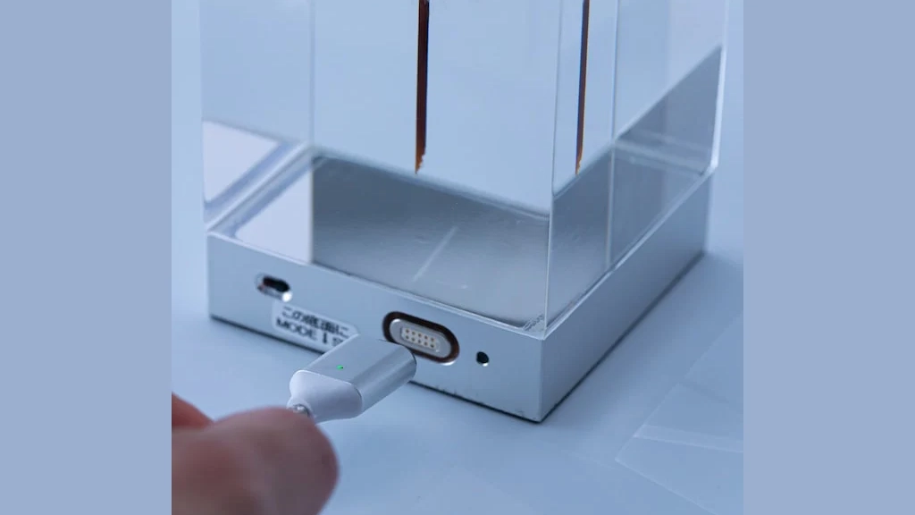 本物のタンポポを閉じ込めた照明「TAMPOPO Light」｜幻想的なテーブルライト