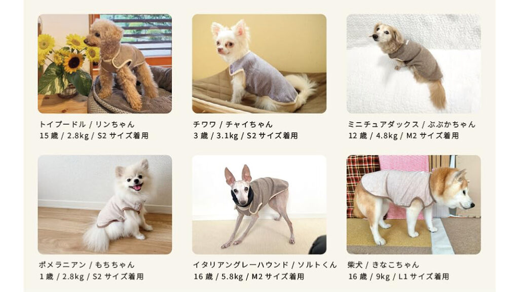 愛犬の不調サインに。「よりそいウェア」という新習慣