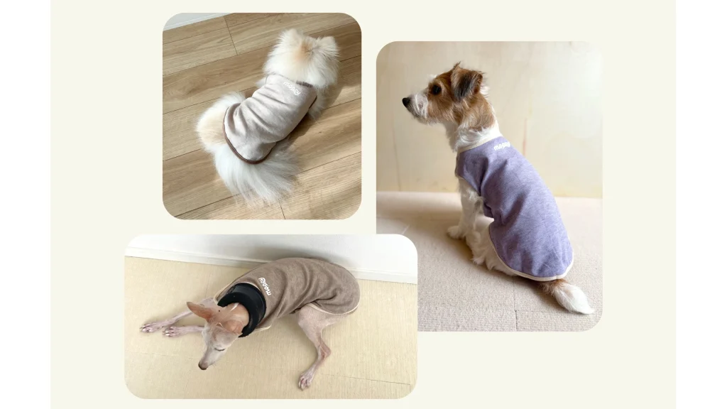 愛犬の不調サインに。「よりそいウェア」という新習慣