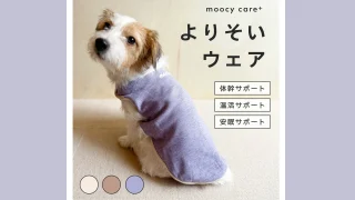 愛犬の不調サインに。「よりそいウェア」という新習慣