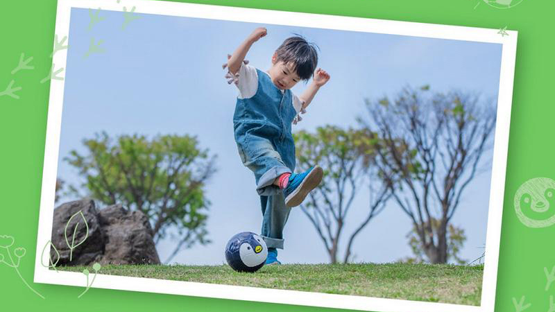 かわいくて本格派！SFIDA「フットボール・ズー」幼児用サッカーボールの魅力