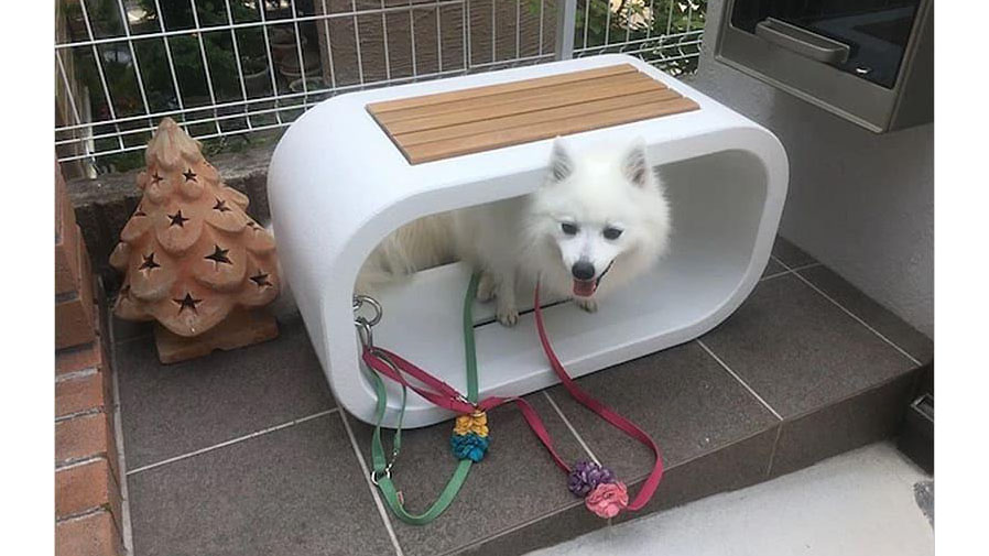 ベンチ×プランター×犬用ステイが一体化!おしゃれ外構アイテム