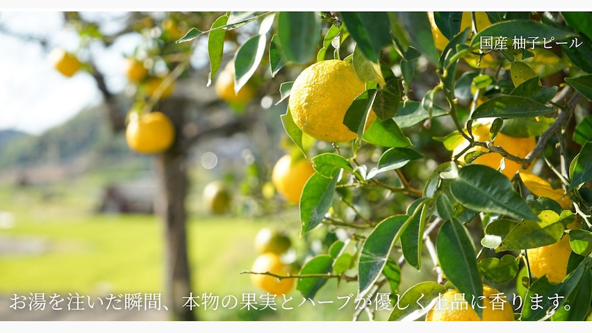 【和紅茶ギフト】自然の香りを楽しむボタニカル紅茶セットの魅力