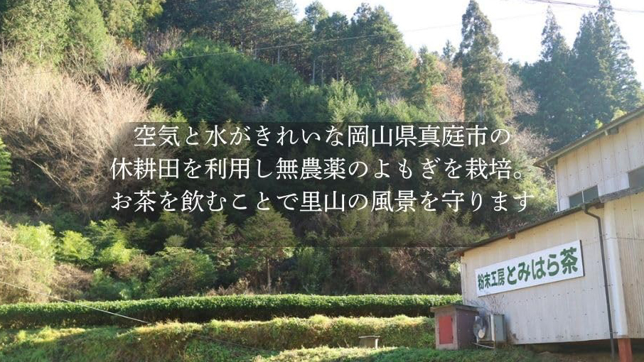 無農薬・無添加で安心！岡山県産「とみはら茶」の粉末よもぎ茶が毎日の健康習慣におすすめ
