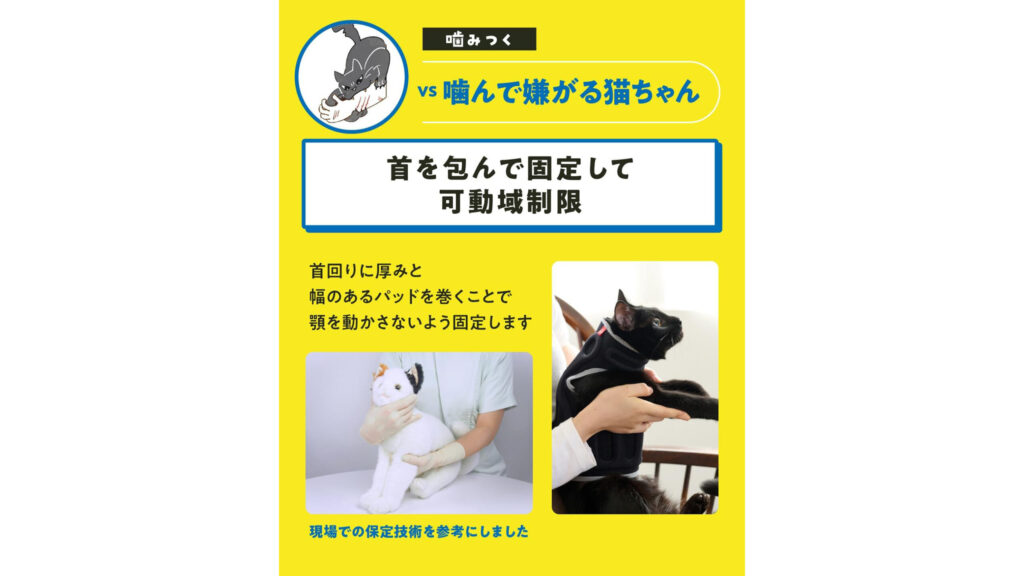 猫の爪切り対策に！anifull『アニサポ』で暴れる・噛むをサポート