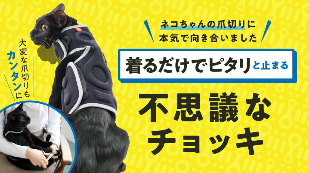 猫の爪切り対策に！anifull『アニサポ』で暴れる・噛むをサポート