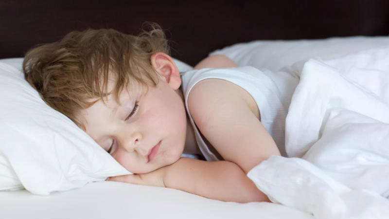 眠るだけで&ldquo;コインが貯まる&rdquo;？ブレインスリープ『コイン』で始める新しい睡眠管理