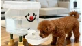 猫も小型犬も使える！静音設計の『ペット用自動給水器』が便利