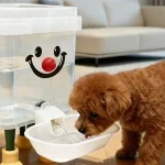 猫も小型犬も使える！静音設計の『ペット用自動給水器』が便利