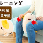 “続かない筋トレ”を変える！置きっぱなしOKの骨盤底筋クッション『にゃんトレ』