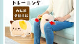“続かない筋トレ”を変える！置きっぱなしOKの骨盤底筋クッション『にゃんトレ』