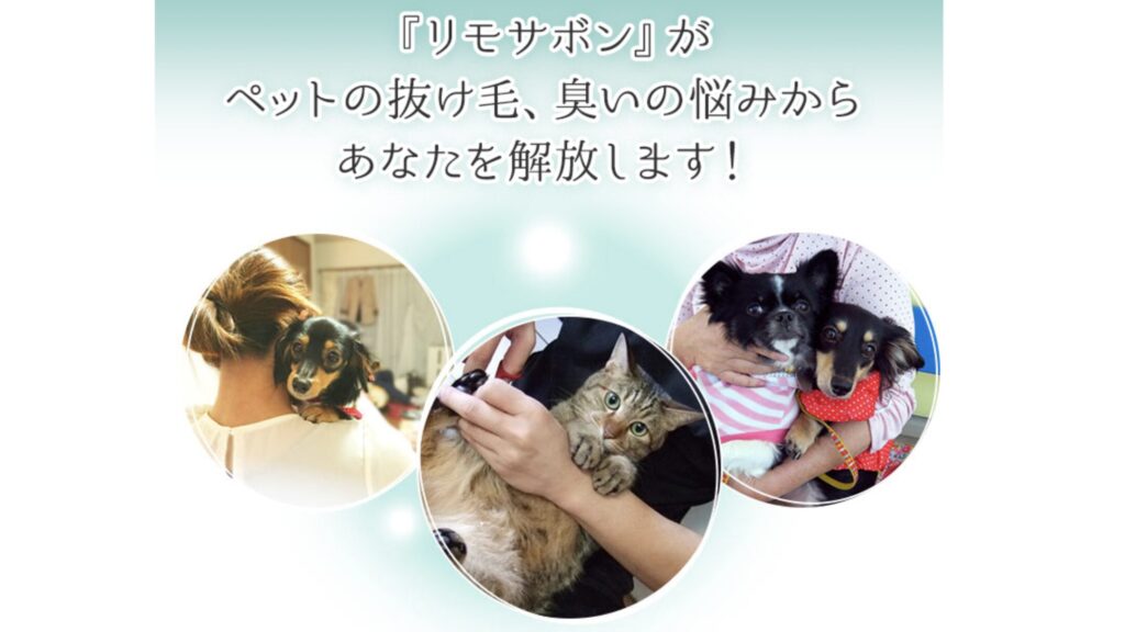 ペットの抜け毛対策に！洗濯するだけで毛が付きにくくなる『リモサボン』がすごい！