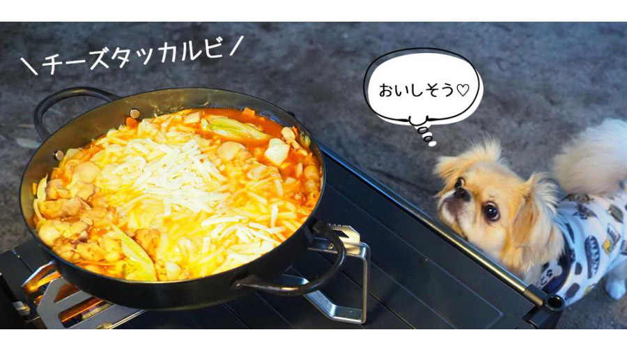 1台6役！IH・直火対応の日本製鉄鍋『どっちもどっちも』の魅力とは？