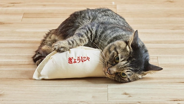 猫が餃子を抱えてキック!?思わず写真を撮りたくなる『けり餃子』