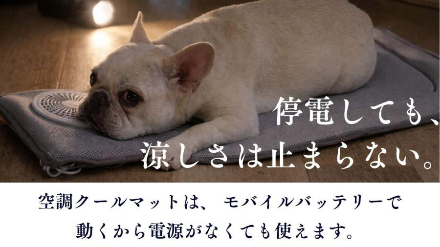 【暑さ対策の新定番】冷風が出る『空調クールマット』でペットも快適な夏に!