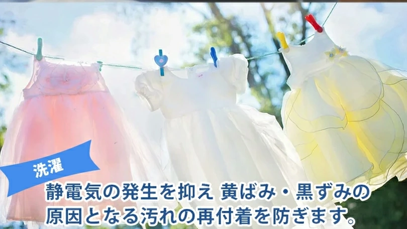 洗濯・食器洗い・掃除まで対応！環境にも人にもやさしい『ココナツ洗剤』