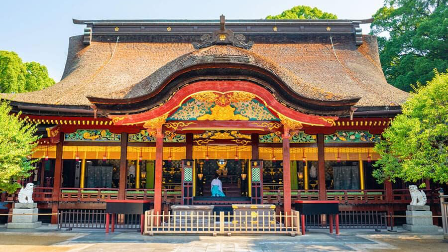 福岡・太宰府の名物 酒殿屋『梅ヶ枝餅10個入り』伝統の味をお取り寄せ