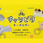 鍵の置き忘れ防止に！『チャリピタキーホルダー』で自転車の鍵をスマート収納