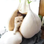 猫のお家がまさかのニンニク！RomelCheoの個性派クッション