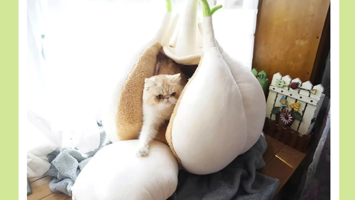 猫のお家がまさかのニンニク!RomelCheoの個性派クッション