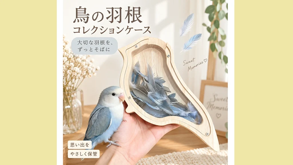 愛鳥の羽根を思い出に。鳥の羽「コレクションケース」で大切に飾る