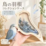 愛鳥の羽根を思い出に。鳥の羽「コレクションケース」で大切に飾る
